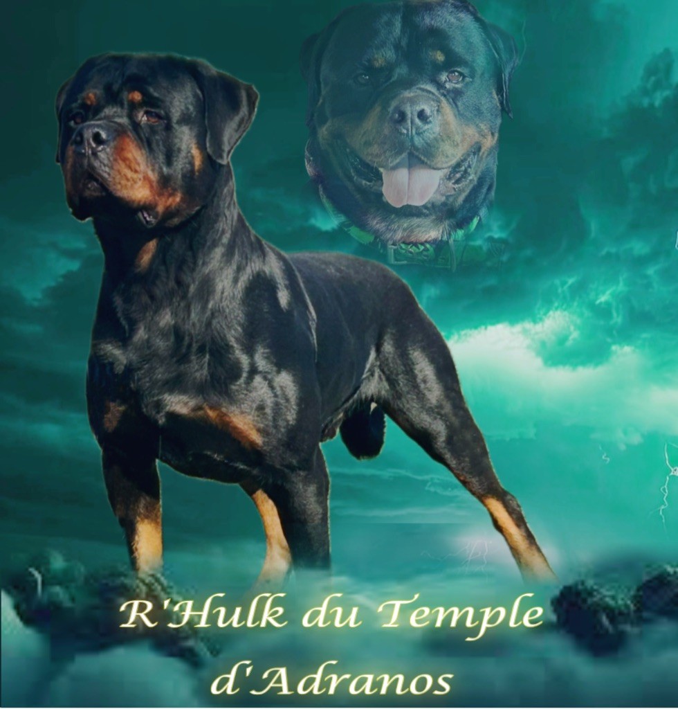 R hulk Du Temple D'Adranos